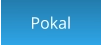 Pokal